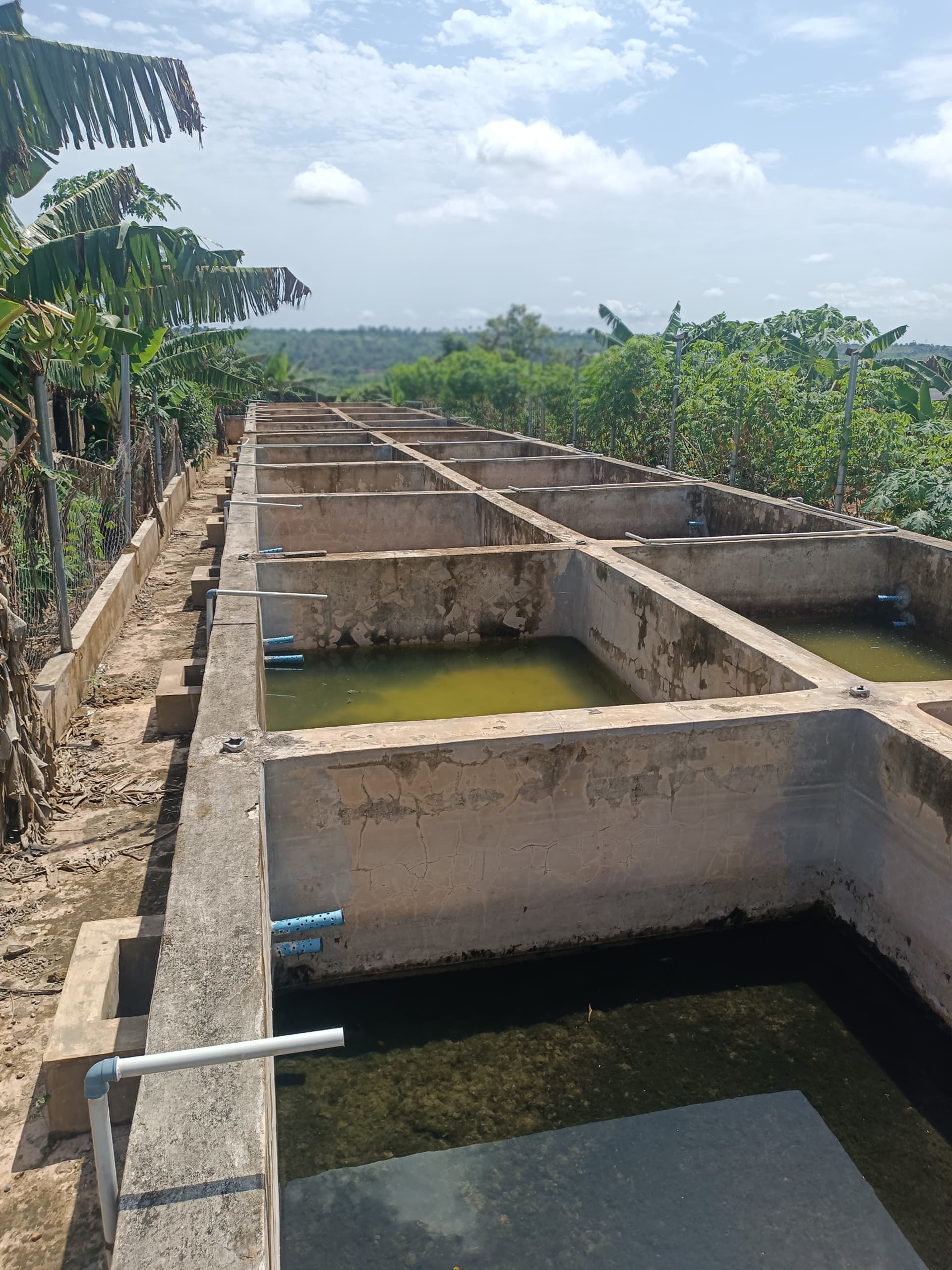 Fish Pond Facility